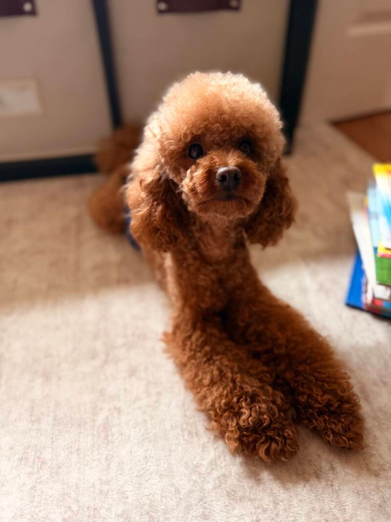 Vinny