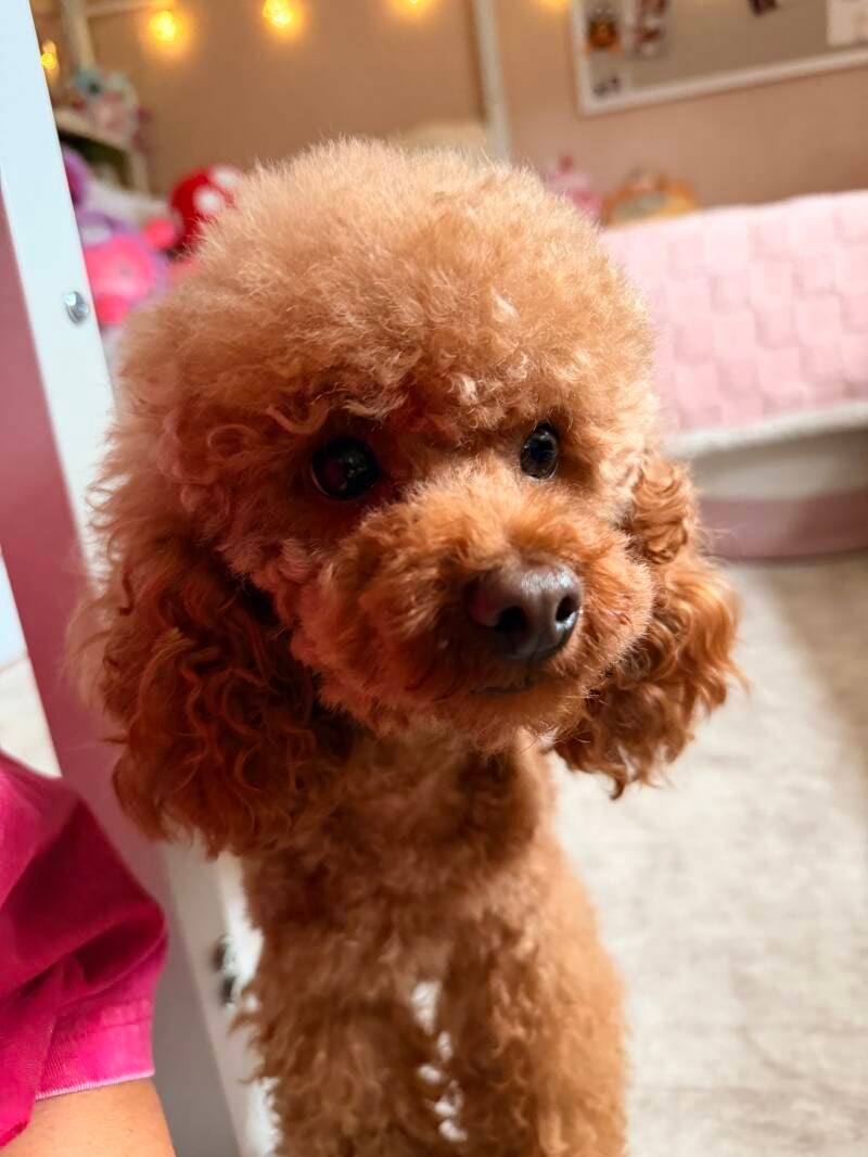 Vinny