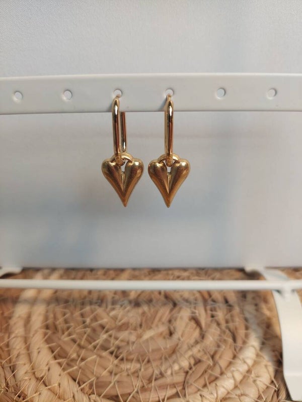 Oorringen rvs goudkleurig met hart hanger