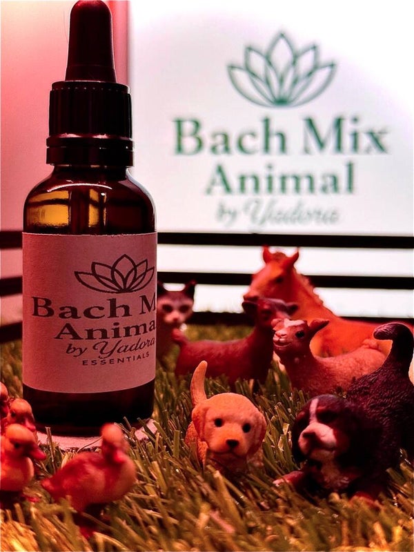 Bach Mix Animal 24 Drachtigheid