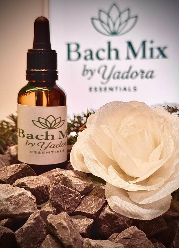 Bach Mix 38 Kalmte