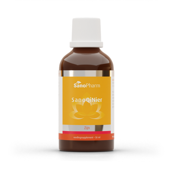 SanoConcept SanoQiNier