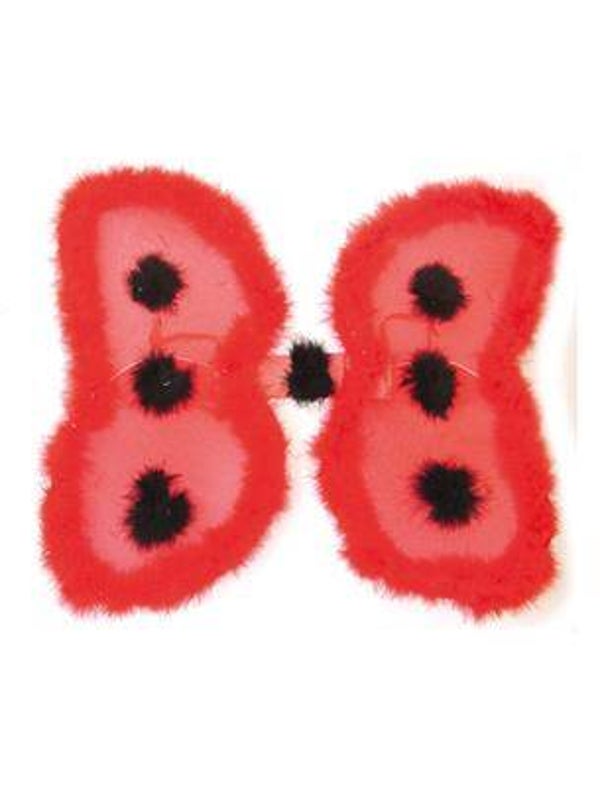 Ailes coccinelle