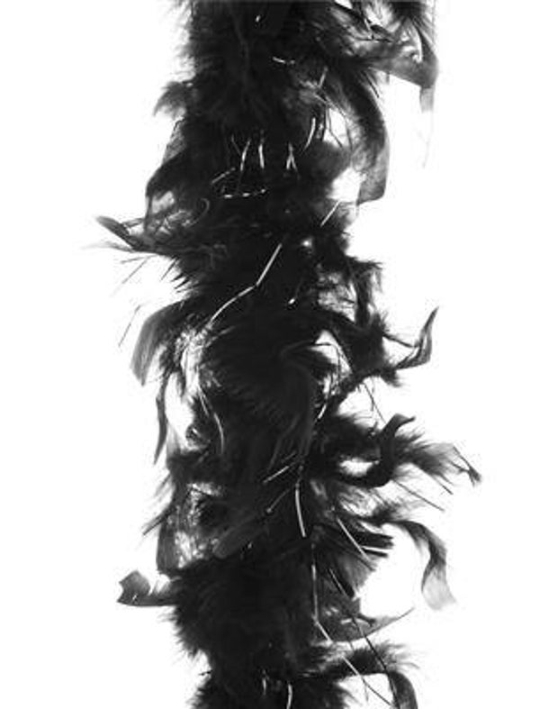 Boa noir avec fil d'argent 2 m 45 gr