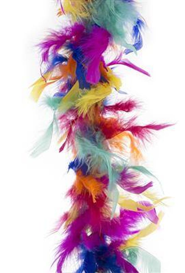 Boa Multicouleurs 2m 45 gr