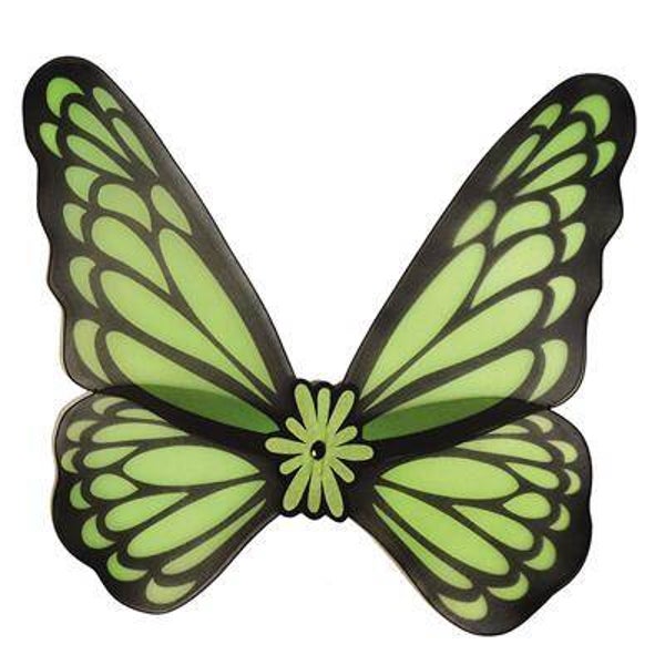 Ailes papillon vert