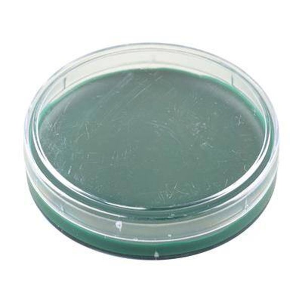 Maquillage vert funny