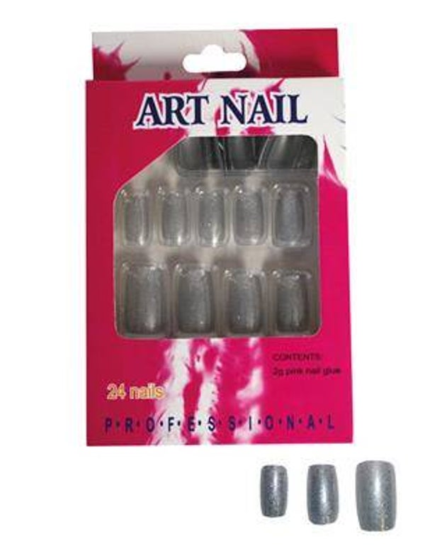 24 ongles argenté
