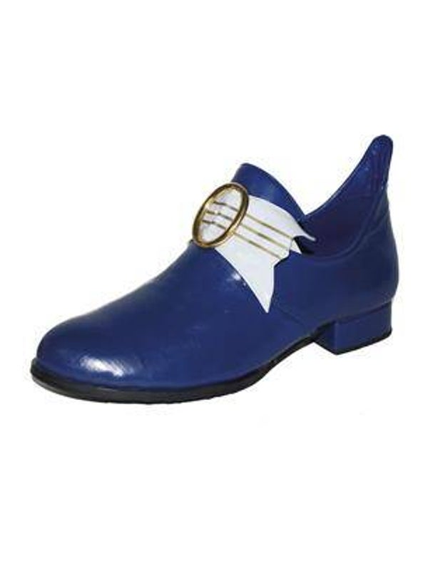 Chaussures de prince bleu