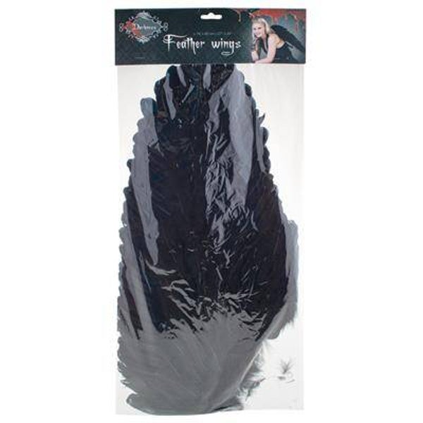 Ailes avec plumes noires