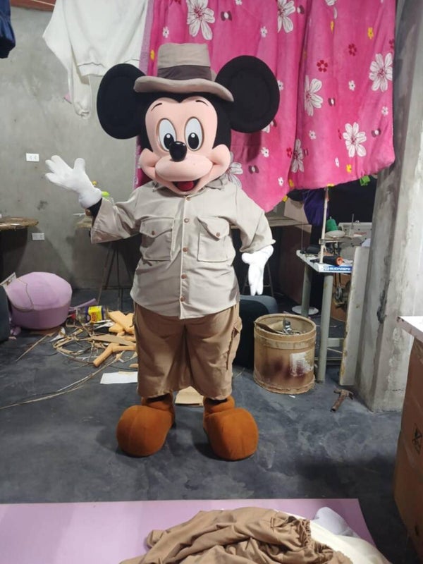 Mickey Safari