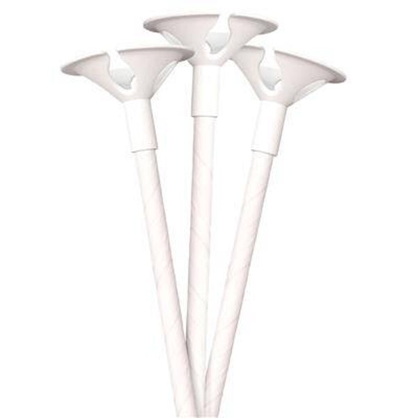 12 bâtons de ballons biodégradables