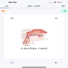 img_0590-standard.png