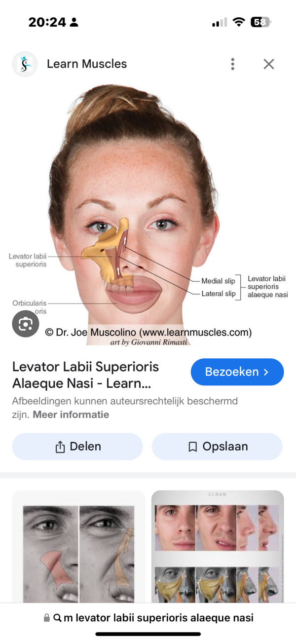 Nose and smelling function