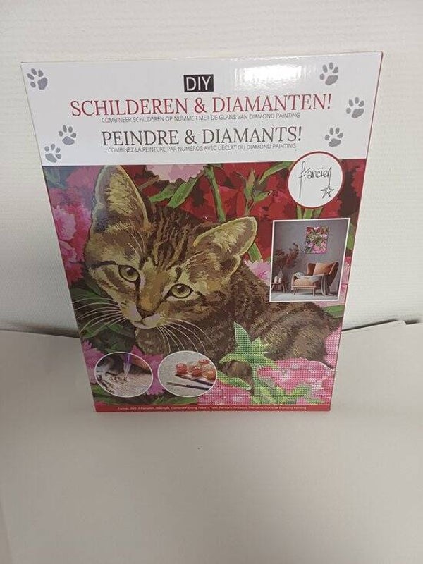 Francien – Schilderen met diamanten | Creatief Kinderboek | Knutselpakket