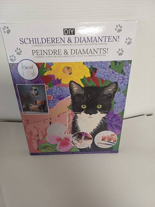 Francien – Schilderen op nummer & Diamond Painting | Creatief Kinderboek | Knutselset