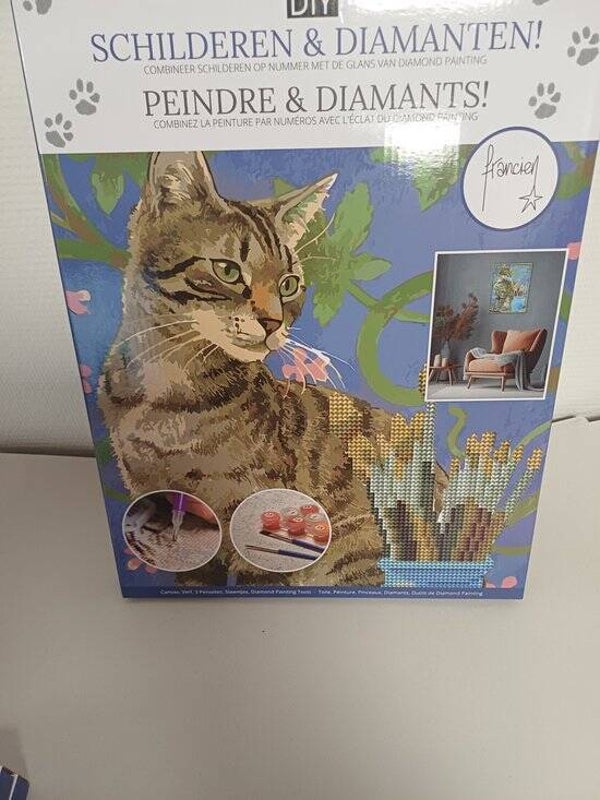 Francien – Schilderen op nummer & Diamond Painting in 1 | Creatieve Knutselset