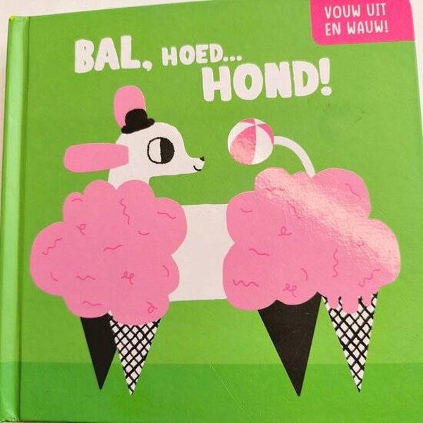 Vouw Uit en Wauw! Bal, Hoed... Hond! - Kinder Vouwboek