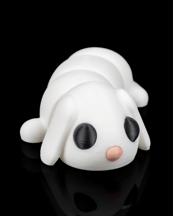 LAPIN