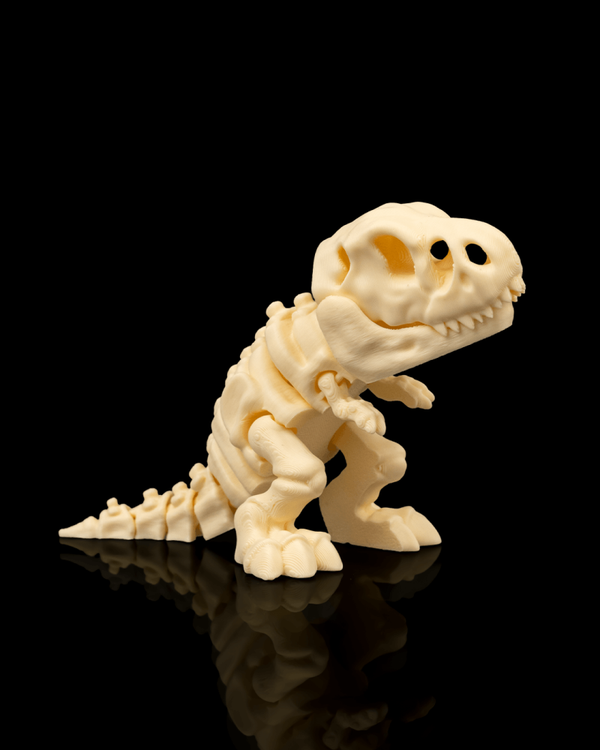 SQUELETTE TREX