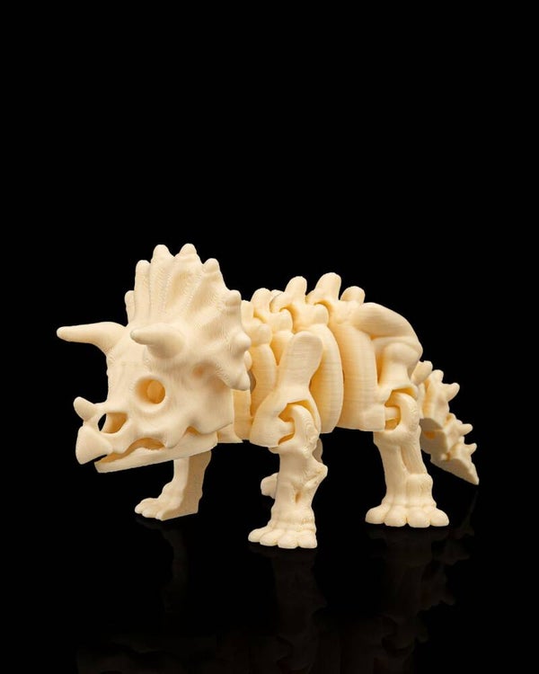 SQUELETTE TRICERATOPS