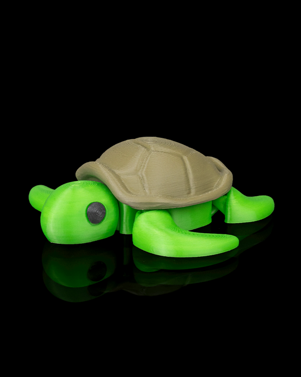 TORTUE