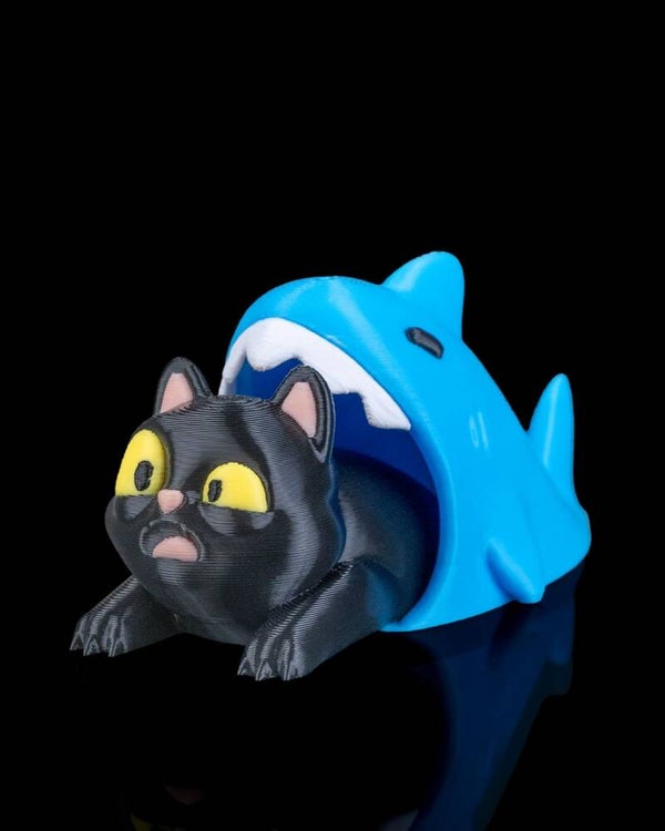 SHARK MIAM CAT