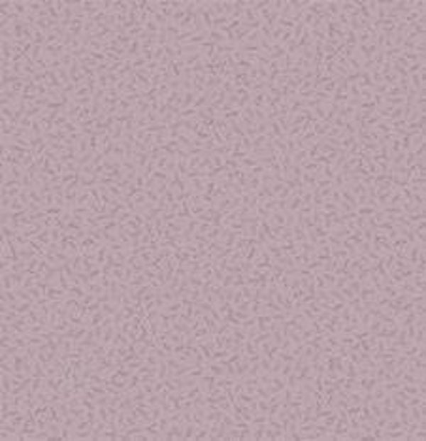 Q603- stof Sprout  - Nature Study by Windham