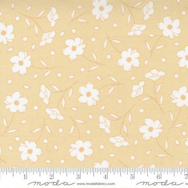 Q253 - stof - Buttercup& Slate by Corey Yoder  - Moda