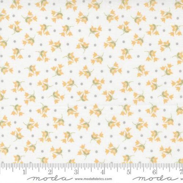 Q756 - stof - Buttercup& Slate by Corey Yoder  - Moda