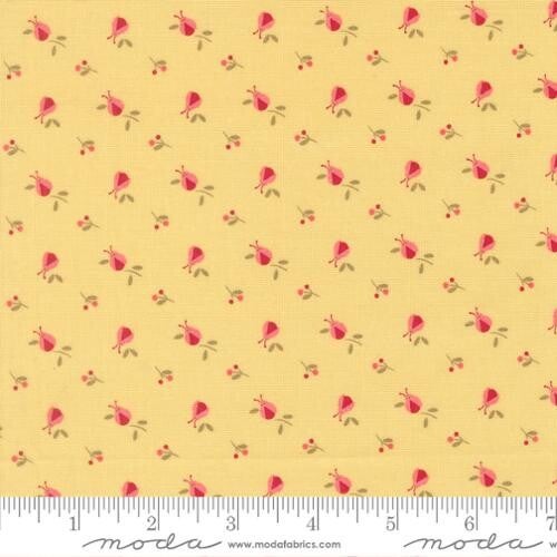 Q1159 - stof Sunwassed ladybugs- Lyda Rose- Bunny Hill Designs by Moda