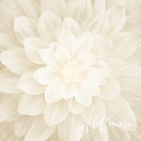 Panel Dream Big - ivoor - Hoffman