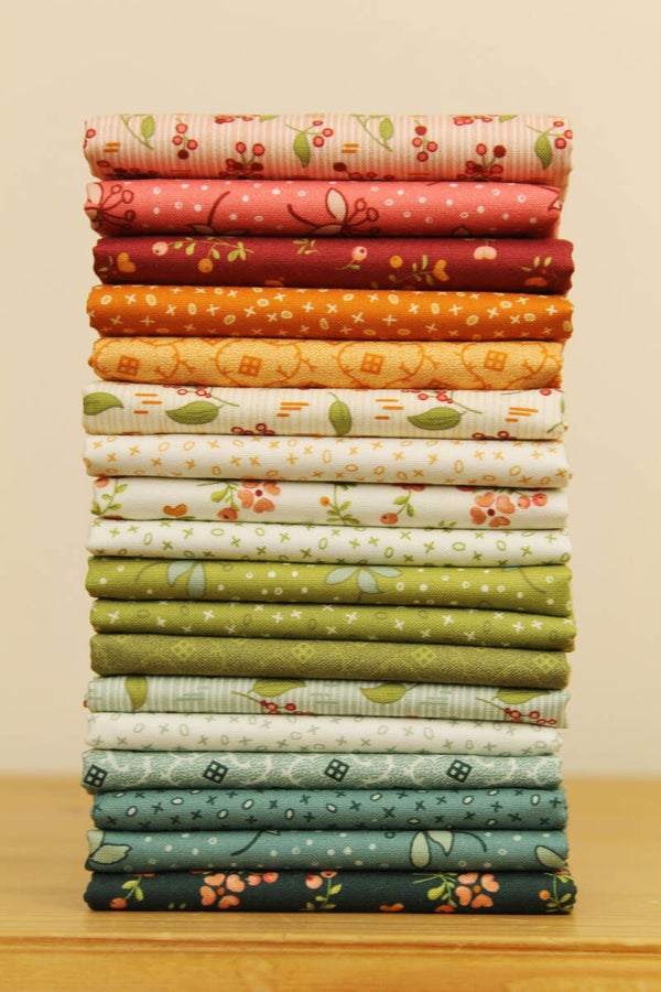 Bundel Pieces of Time  18x FE -  EQP