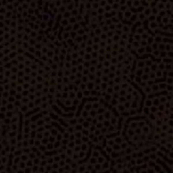 Q466 - stof donkerbruin/ noir N9- Dimples by Makower