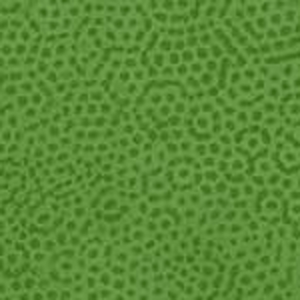 Q145 - stof envy G33 - Dimples by Makower