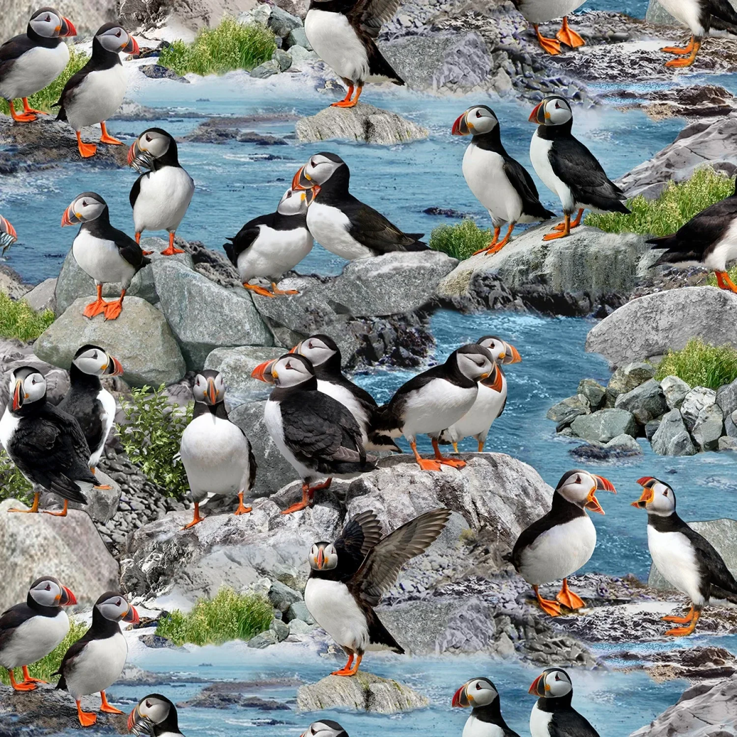 Q363  - stof puffins/ papegaaiduikers