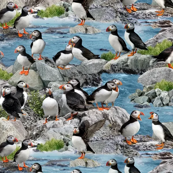 Q363  - stof puffins/ papegaaiduikers