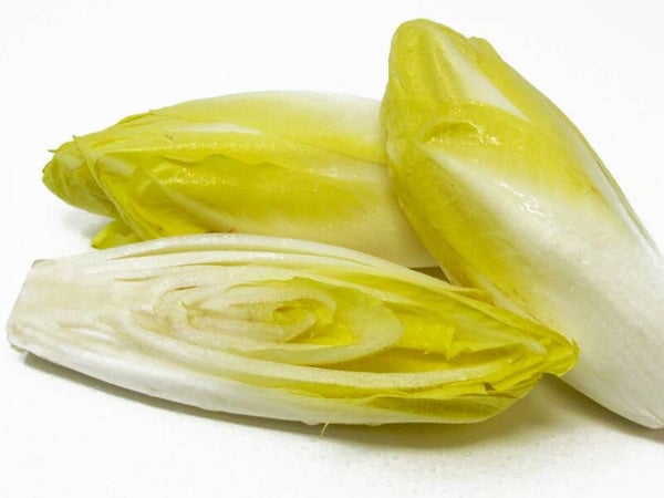 Bio Chicoree ca 300g