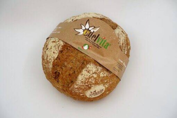 Bio Malzkornbrot