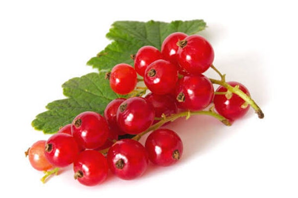 Bio Johannisbeeren  rot 250g