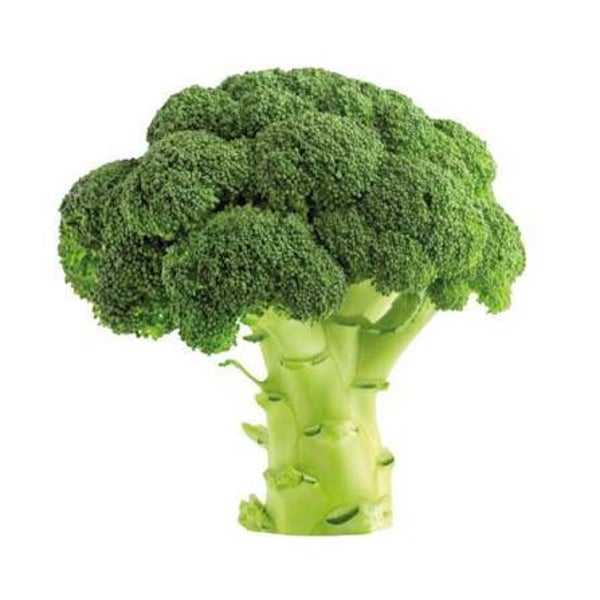 Bio Broccoli ca 500g