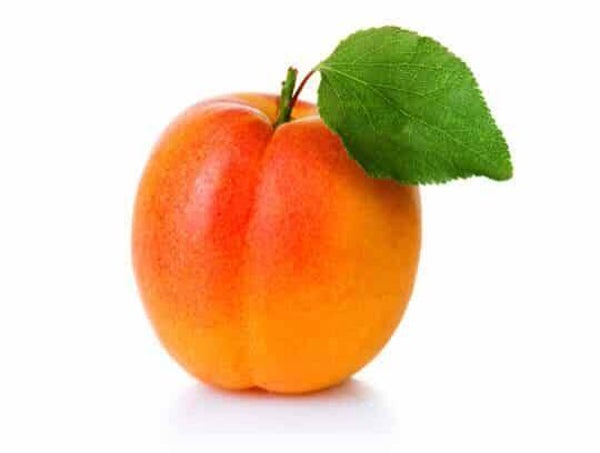 Bio Aprikosen 500g