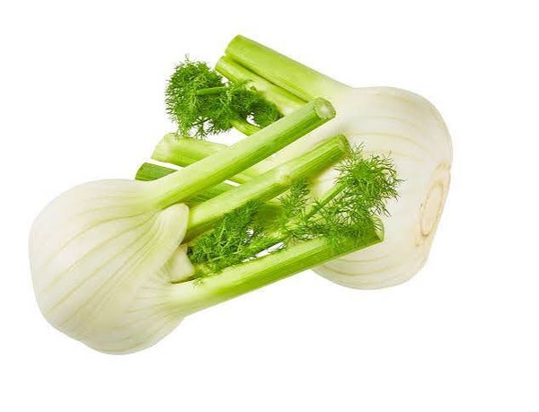 Bio Fenchel ca 500g