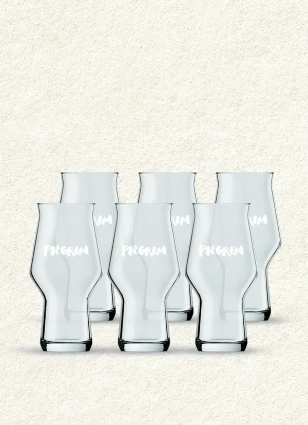 Pilgrim Craft Master One 19cl 6x Glas