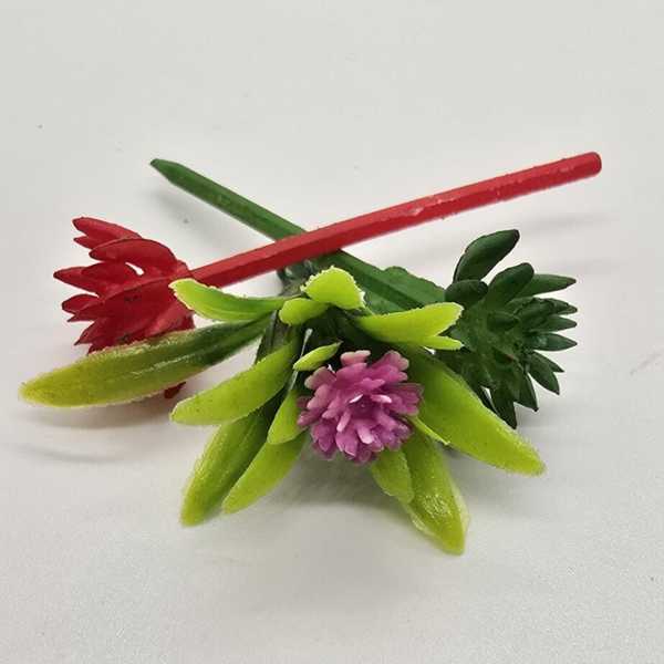 Vetplantje M (3cm)