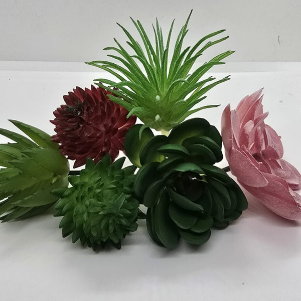 Vetplantje L