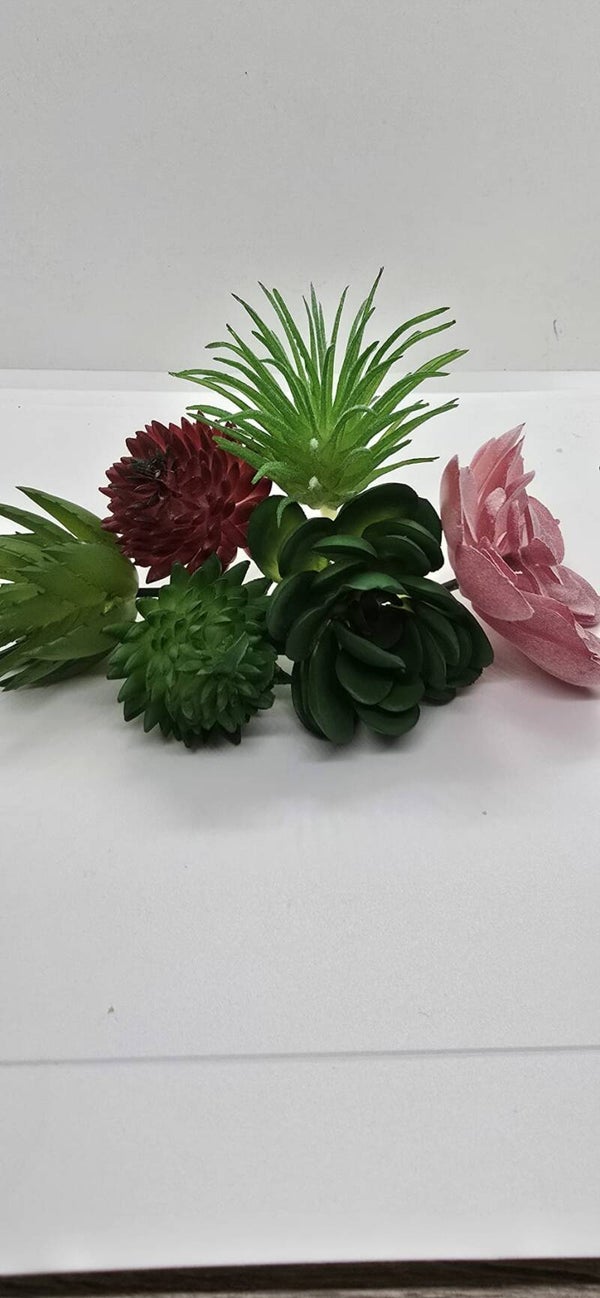 Vetplantje L