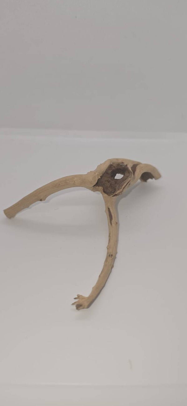 Drijfhout (6 bij 9cm)