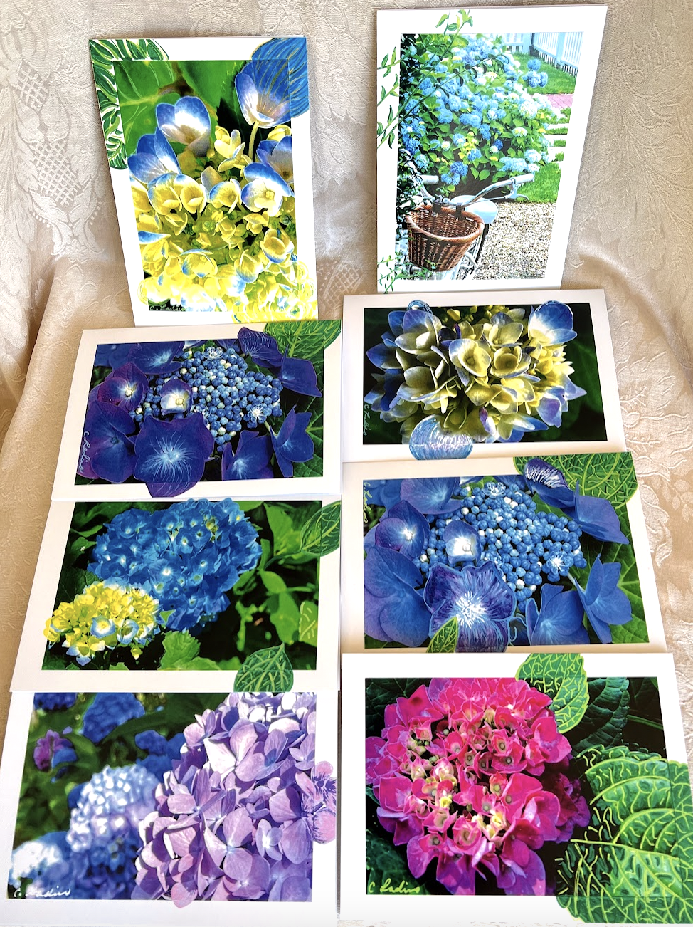 Hydrangea Photo and Art Blank Greeting Cards Variety pack of 8