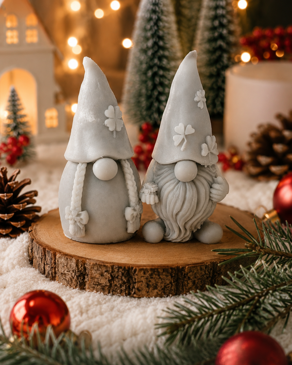 Duo de gnomes de Noël 🎅🏻